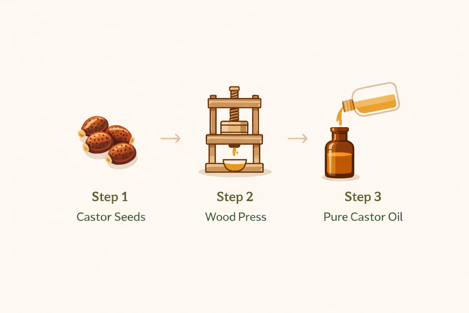  How cold pressing preserves castor oil nutrients — no heat, no chemicals, full potency explained
